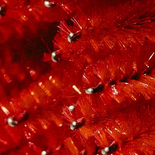 Lash Loyalty Fill (3 months) at Beautyychick Studios in Newark, NJ